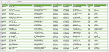 Vorschau der Liste mit den Autohaus Adressen
