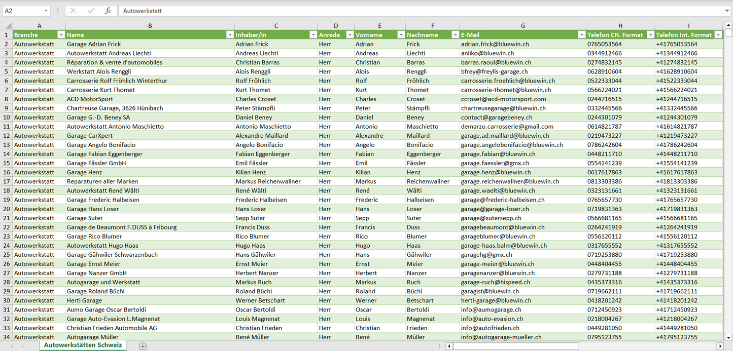 Vorschau der Liste mit den Autowerkstatt Adressen