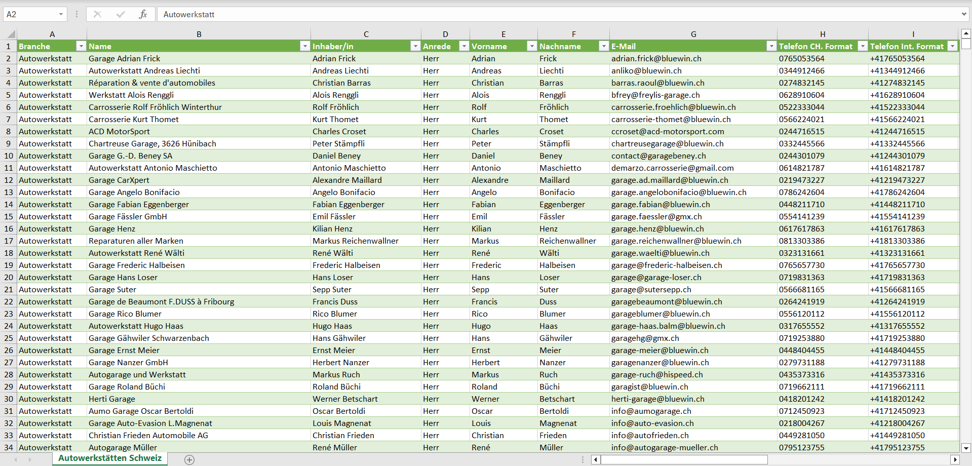 Vorschau der Liste mit den Autowerkstatt Adressen