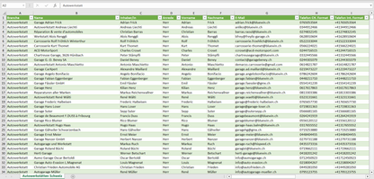 Vorschau der Liste mit den Autowerkstatt Adressen