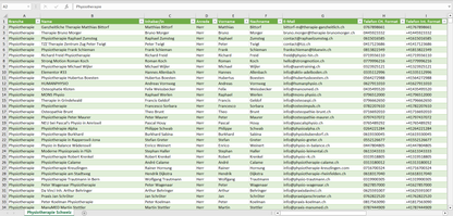 Vorschau der Liste mit den Physiotherapie Adressen