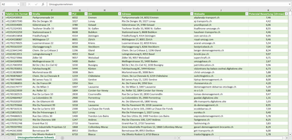 Weitere Vorschau der Liste mit den Umzugsunternehmen Adressen