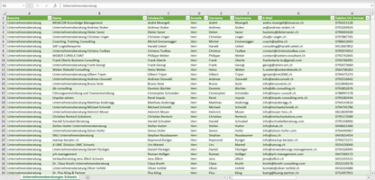 Vorschau der Liste mit den Unternehmensberatungen Adressen